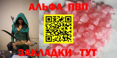 молекула духа Кингисепп