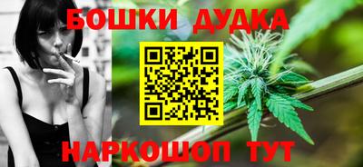 молекула духа Кингисепп