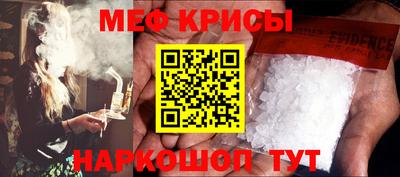 молекула духа Кингисепп