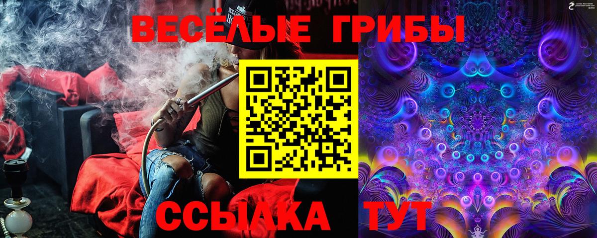 Галлюциногенные грибы GOLDEN TEACHER Электрогорск